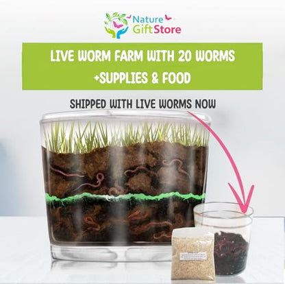 Worm Farm for Kids with 20 Live Worms and Food, All-in-One Ecosystem Bundle - style: Farm+Live Worms+Food
