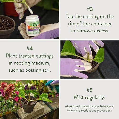 Garden Safe Take Root Rooting Hormone 2 Oz, Promotes Rooting, 2 Pack - size: 2 Pack