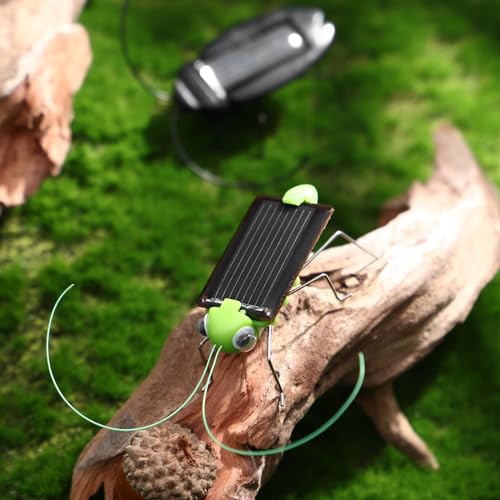 6PCS Solar Powered Bugs Toys Lifelike Solar Crickets Grasshopper Insect Toys for Boys Girls Fake Roaches Moving Simulation School Science Educational