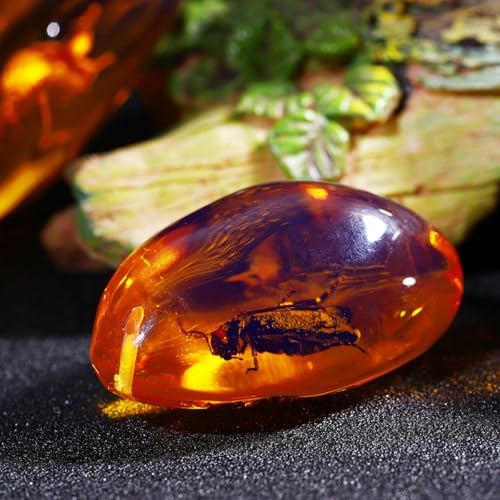 Amber Insect Specimens, 5 Pcs Unique Resin Stones with Real Bugs, Perfect for Jewelry Making, DIY Crafts, Home & Classroom Decor, Ideal Science Gifts for Kids & Adults