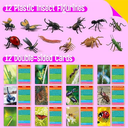 12 PCS Plastic Insect Figurines with 12 Introduction Flashcards, Small Creature Learning Recognition Cards Realistic Bug Models Educational Learning Toy Set for Kids, Classroom - style: Insect Set (including cards)