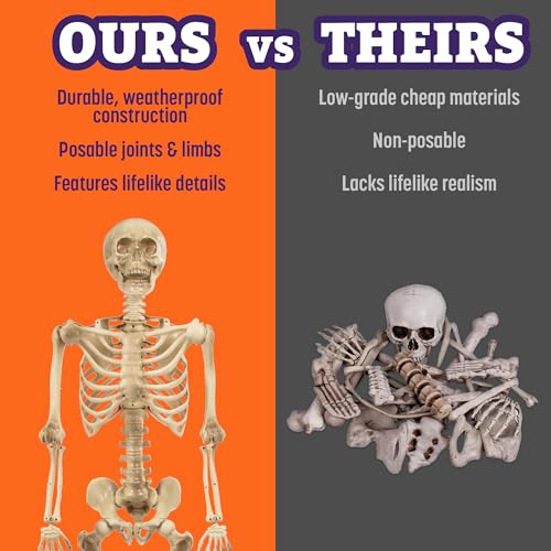 Posable Human Adult (5'4") & Child (3') Skeleton Value 2 Pack for Halloween - style: 2 Pack