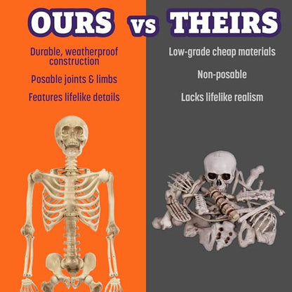Posable Human Adult (5'4") & Child (3') Skeleton Value 2 Pack for Halloween - style: 2 Pack