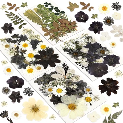 Dried Flowers, Resiners 100Pcs Pressed Flowers for Craft Black Real Natural Dried Flowers Dry Leaves Kit for DIY Making Crafts Resin Soap Candle Scrapbook Supplies Card Making Jewelry - color: Nightfall 100pcs