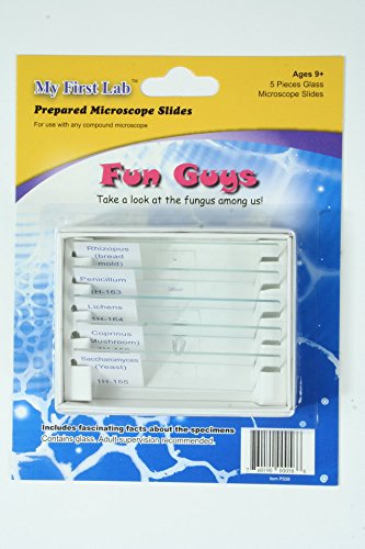 Fun Guys Prepared Slide Mini Set (5/kit)