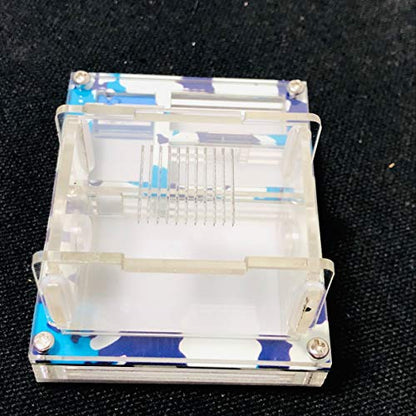 ANT Mini DIY Acrylic Flat Farm Nest with Feeding Area House for Queen Laying Eggs Anthill with Moisturizing Zone (Winter) - color: winter