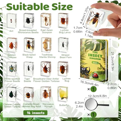 16 Pcs Real Insect in Resin Specimens Set with Magnifying Glass and Audiobooks, Various Butterflies, Bugs and Beetles Collection for Science Education, Classroom, Biology, Preschool, Home Display