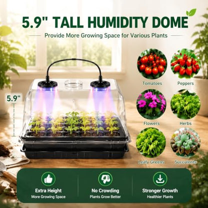 2 Sets 60-Cell Seed Starter Trays with Grow Lights, Heat Mat and Dome