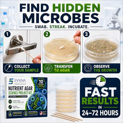 Evviva Sciences Nutrient Agar Petri Dishes Science Project Kit, Pre-Poured Agar Plates for Science Experiments, with Experiment eBook - color: Original