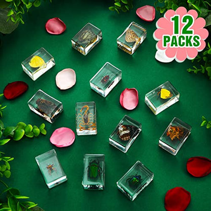 12 Pcs Insect Specimens for Kids Bug Collection Kit, Butterfly - style: Butterfly