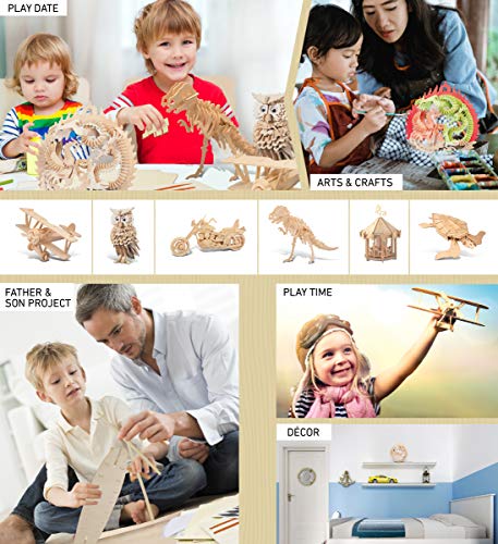 Puzzled 3D Puzzle Lucky Dragon and Phoenix Wood Craft Construction Kit