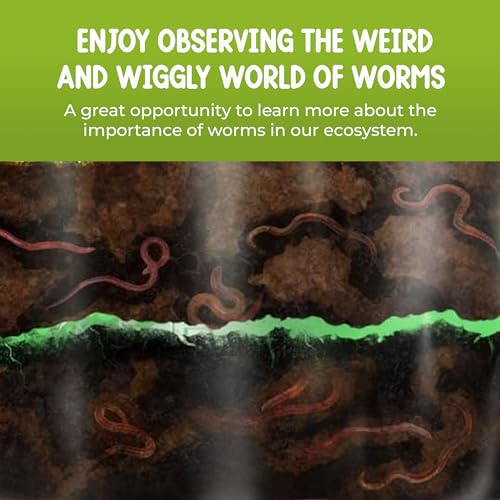 Worm Farm for Kids Kit with 20 Live Composting Worms, All-in-One Bundle - style: Farm+Live Worms