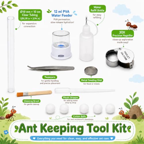 Ecological Ant Nest - Modular Ant Farm with Magnetic Glass Covers, Humidity Control, Ventilation, and Expansion Ports - Perfect for Ant Enthusiasts (10.63 x 9.84 x 5.12 inches)