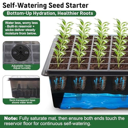 DazSpirit Seed Starter Kit, 60-Cell Tray with Grow Light and Heat Mat