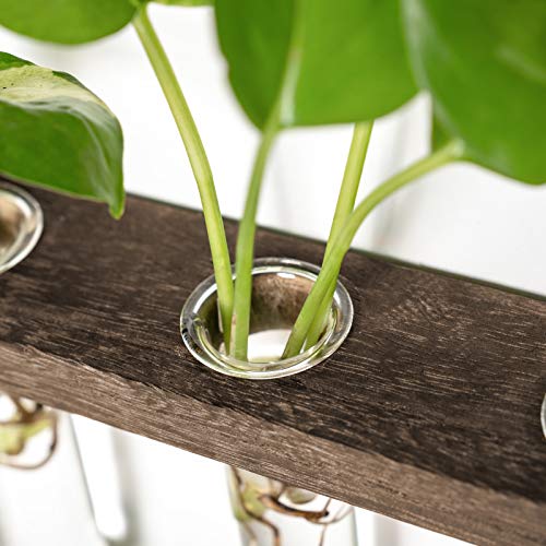 Mkono Plant Propagation Station, 3 Tier Small Brown Wall Hanging Vase Tubes - color: Brown, size: Small