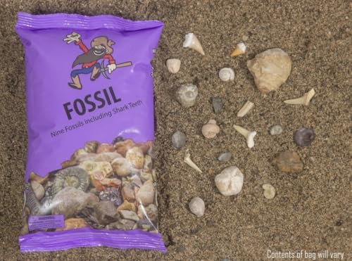 Fossil & Shark Tooth Purple Mining Bag with 9 Real Fossils, 3+ Shark Teeth & ID Guide | Excavation, Sifting, and Discovery
