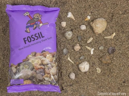 Fossil & Shark Tooth Purple Mining Bag with 9 Real Fossils, 3+ Shark Teeth & ID Guide | Excavation, Sifting, and Discovery