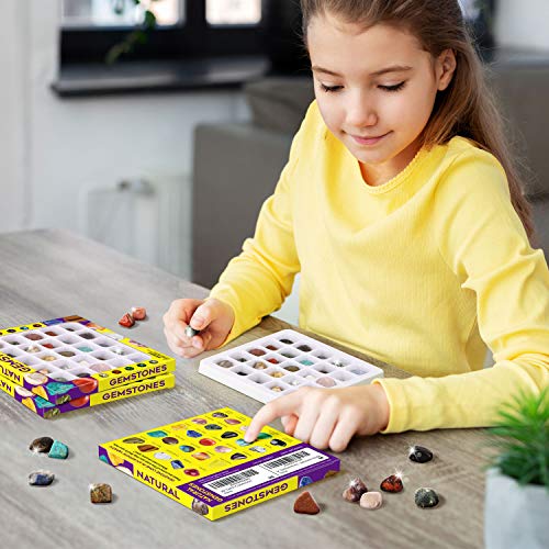 Piano Potato Rocks Collection 25PCS Rock and Mineral, STEM Geology Toy 6-12 - style: Gems