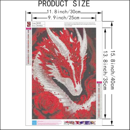 5D Diamond Painting Kits for Adults,Dragon Diamond Art Kits 12 x 16 inch - color: SH189