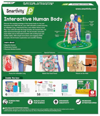 Smartivity DIY Interactive Human Body Model for Kids 8-14 Years