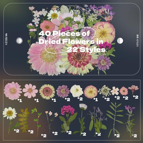 White Dried Pressed Flowers, 40Pcs Real Nature Flowers Set with Tweezers - size: 40 pcs Pink+Mixed Dried Flowers