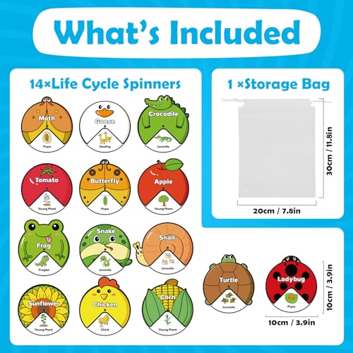 Kasfalci Life Cycle Toys for Kids,Back to School Supplies,Animal Plant Insect Bug Ladybug Butterfly Tadpole to Frog Kit,Montessori Learning & Education Toys,Preschool Science Learning Activities - style: Life Cycle