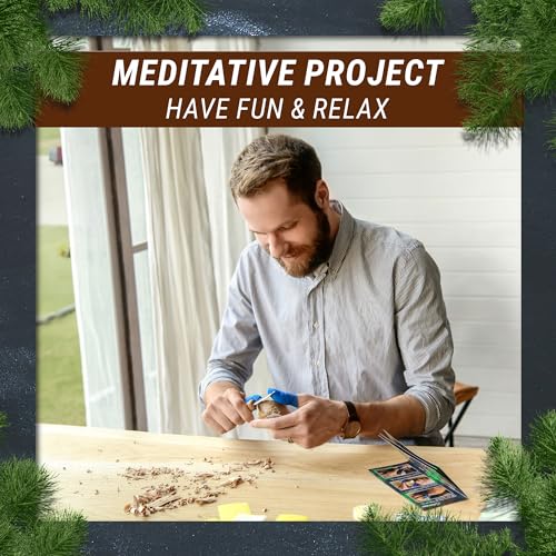 BeaverCraft DIY08 Wood Carving Kit for Kids DIY01 Wood Carving Kit Comfort Bird DIY Kits for Adults Hobbies