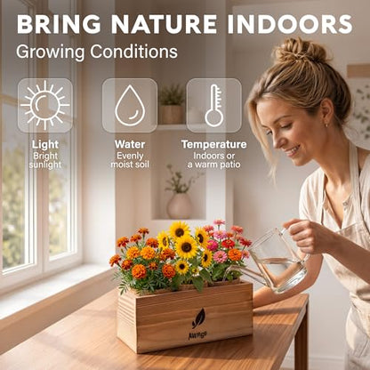 AVERGO Sunflower, Marigold & Zinnia Flower Seeds Growing Kit