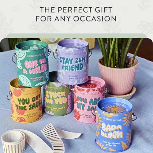 Modern Sprout Complimentary Color Grow Kits - Seed Starter Kit, Pack of 6 - size: Pack of 6
