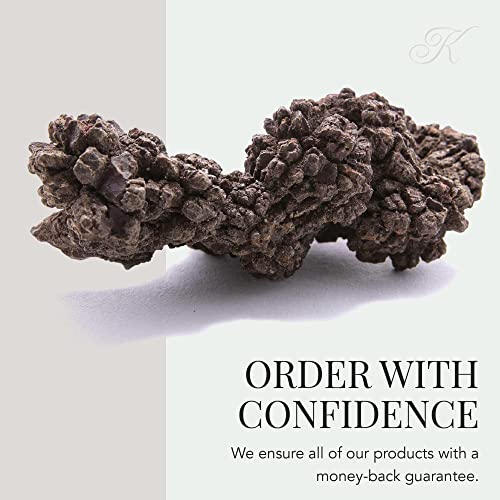 KALIFANO Authentic Prehistoric Dinosaur Coprolite Feces Trace Fossil - Fossilized Dinosaur Dung Poop Coprolite from Madagascar (Information Card Included) - color: Coprolite Feces Trace