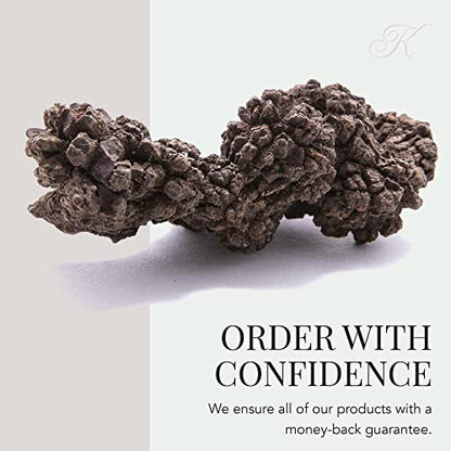 KALIFANO Authentic Prehistoric Dinosaur Coprolite Feces Trace Fossil - Fossilized Dinosaur Dung Poop Coprolite from Madagascar (Information Card Included) - color: Coprolite Feces Trace