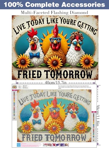 ijbnhd Chicken Diamond Art Kits for Adults 16x12in - color: Chicken, size: 16x12in(40x30cm)
