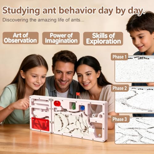 Giant Ant Farm with 2 Expansion Zones - Care Live Ants, Colony Farms Kit