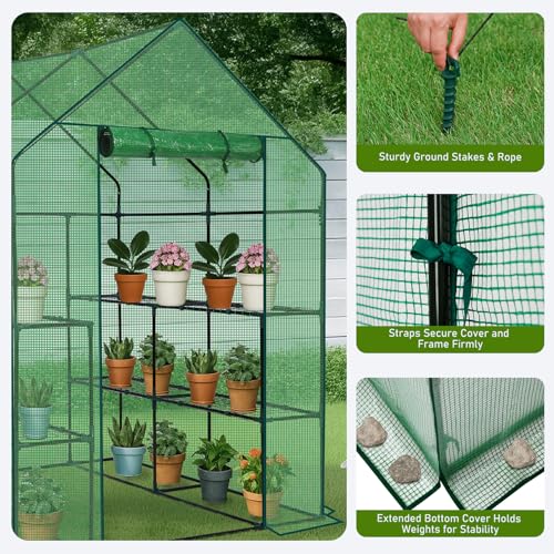 Outvita Walk-in Greenhouse, 3 Tiers 8 Shelves, Durable PE, 56"x56"x77" - style: 3 tiers 8 shelves