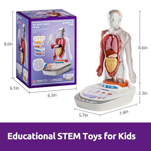 Science Can Human Body Model for Kids, Interactive Anatomy Learning Toys
