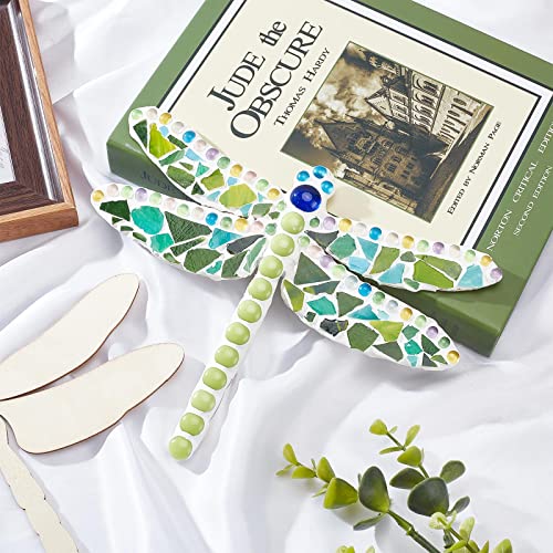 WEBEEDY Make 2 Dragonfly Glass Mosaic Kit DIY Craft Glass Kit for Adults Include Mosaic Tiles, Wooden Chips, Ribbon for Christmas Holiday Unique Decor Gift