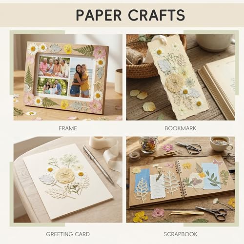 LUXEEASE 80P White Pink Dried Pressed Flowers - color: White 80pcs