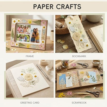 LUXEEASE 80P White Pink Dried Pressed Flowers - color: White 80pcs