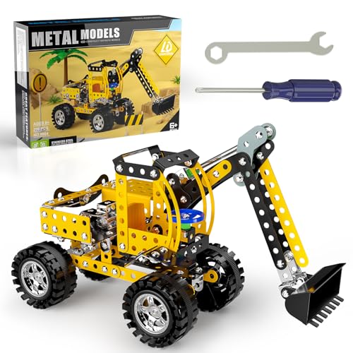 Lucky Doug Stem Building Projects Toys for Kids Boys 8 9 10 11 12 Year Old, Metal Building Construction Model kit, Building Blocks DIY Toy - style: 9904