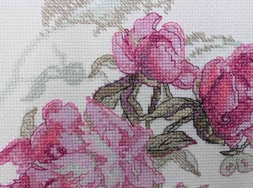 Aine A1010 Peonies. Whisper Counted Cross Stitch Kit 7 x 6 in - size: Peonies. Whisper