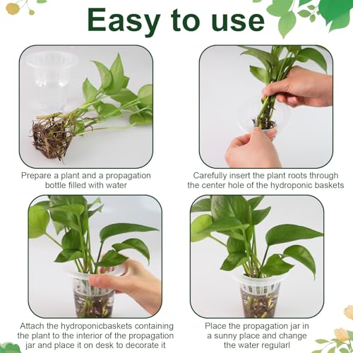 50 Pack Plastic Nursery Pots for Plants Terrarium Plant Propagation Station Tabletop Planting Vase with Hydroponic Baskets 4.5 In Clear Hydroponic Seed Pots for Indoor Plants Home Office Desktop Decor