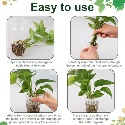 50 Pack Plastic Nursery Pots for Plants Terrarium Plant Propagation Station Tabletop Planting Vase with Hydroponic Baskets 4.5 In Clear Hydroponic Seed Pots for Indoor Plants Home Office Desktop Decor