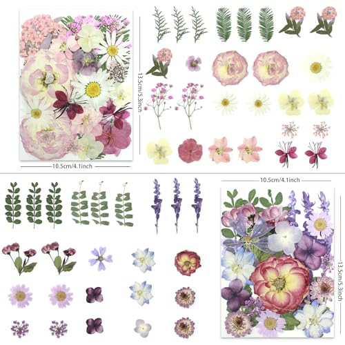LUXEEASE 4-Color 100P Vibrant Dried Pressed Flowers - color: Blue/Orange/Pink/Purple 100p
