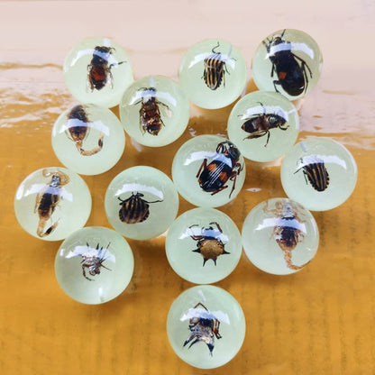 Multiple Psc Spherical Insect Amber Fossil, Spherical Luminous Insect Specimen, Educational and Scientific Amber Collection (8Pcs)