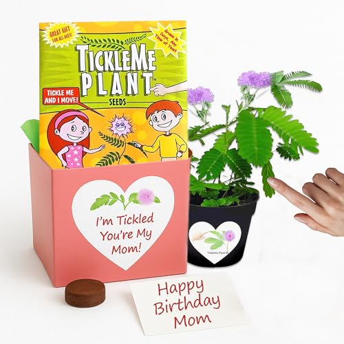 Birthday Gift for Mom – TickleMe Plant that Moves When Touched – Adult Plants Can Produce Pink Flowers – Unique Gift for Mom from Daughter, Son or Kids – Easy Indoor Grow Kit - style: Mother's Day /Birthday Gift