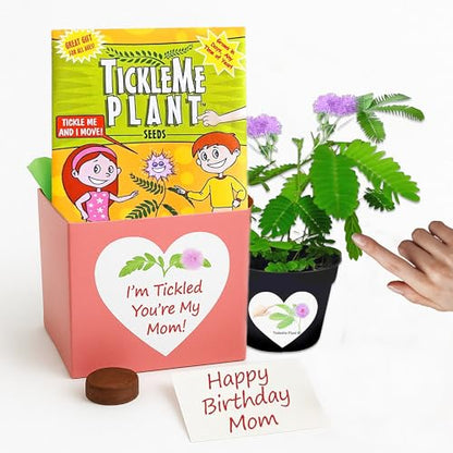 Birthday Gift for Mom – TickleMe Plant that Moves When Touched – Adult Plants Can Produce Pink Flowers – Unique Gift for Mom from Daughter, Son or Kids – Easy Indoor Grow Kit - style: Mother's Day /Birthday Gift