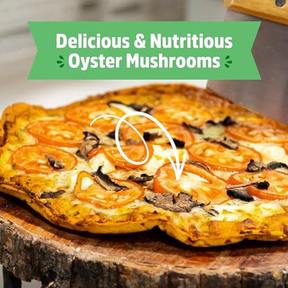 Back to the Roots Organic Mini Mushroom Grow Kit, Harvest Gourmet Oyster Mushrooms In 10 days, Top Gardening Gift, Holiday Gift, & Unique Gift - color: Mini