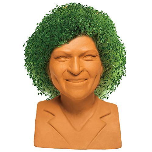 Chia Pet Golden Girls Rose Terracotta Planter with Seed Pack - style: Golden Girls - Rose