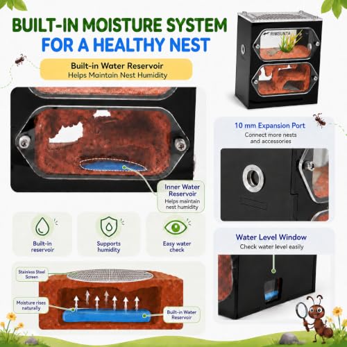 Terra Core S Dual View Ant Farm, Acrylic Formicarium Nest with Starter Kit, Double-Sided Observation Habitat with Moisture System for Ant Keepers, 3.93 x 2.36 x 4.52 in - size: Terra Core Series-DualView S