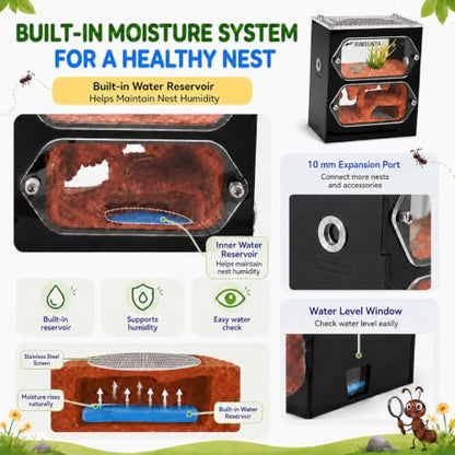 Terra Core S Dual View Ant Farm, Acrylic Formicarium Nest with Starter Kit, Double-Sided Observation Habitat with Moisture System for Ant Keepers, 3.93 x 2.36 x 4.52 in - size: Terra Core Series-DualView S